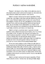 Eseja 'Kultūrai ir nozīme manā dzīvē', 1.