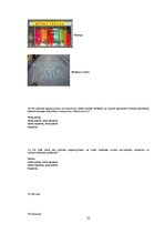 Referāts 'Autovadītāju attieksme pret vides reklāmām brauktuvju malās', 32.