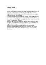 Konspekts 'Z.Mauriņas darba "Baltās drānas" analīze', 5.