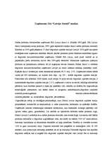 Eseja 'Uzņēmuma "Statoil" analīze', 1.