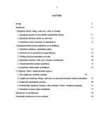 Diplomdarbs 'Reklāmdarbības plānošana', 2.