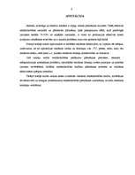 Diplomdarbs 'Reklāmdarbības plānošana', 6.