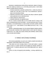 Diplomdarbs 'Reklāmdarbības plānošana', 15.