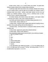 Diplomdarbs 'Reklāmdarbības plānošana', 16.