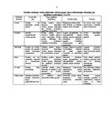 Diplomdarbs 'Reklāmdarbības plānošana', 31.