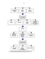 Diplomdarbs 'Reklāmdarbības plānošana', 33.