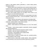 Diplomdarbs 'Reklāmdarbības plānošana', 47.