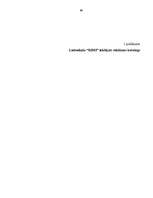 Diplomdarbs 'Reklāmdarbības plānošana', 88.