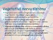 Prezentācija 'Veģetatīvā nervu sistēma', 3.