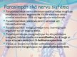 Prezentācija 'Veģetatīvā nervu sistēma', 13.