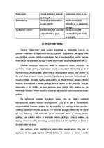 Referāts 'Efektīvas darba grupas ietekme uz darbības rezultātiem uzņēmumā', 9.