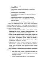 Referāts 'Efektīvas darba grupas ietekme uz darbības rezultātiem uzņēmumā', 13.