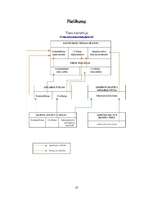 Referāts 'Latvijas tiesu sistēma', 10.