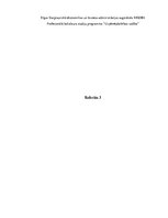 Referāts 'Uzņēmuma analīze. Ārējā un iekšējā vide', 1.