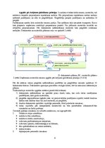 Konspekts 'Loģistikas darbības veidi: iepirkšanas, ražošanas, sadales un servisa loģistika', 8.