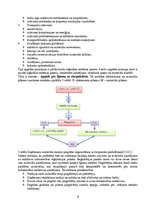 Konspekts 'Loģistikas darbības veidi: iepirkšanas, ražošanas, sadales un servisa loģistika', 9.