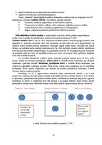 Konspekts 'Loģistikas darbības veidi: iepirkšanas, ražošanas, sadales un servisa loģistika', 12.