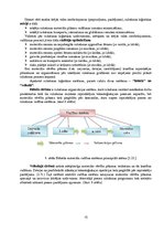 Konspekts 'Loģistikas darbības veidi: iepirkšanas, ražošanas, sadales un servisa loģistika', 15.