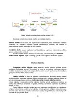 Konspekts 'Loģistikas darbības veidi: iepirkšanas, ražošanas, sadales un servisa loģistika', 16.