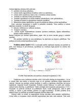 Konspekts 'Loģistikas darbības veidi: iepirkšanas, ražošanas, sadales un servisa loģistika', 17.