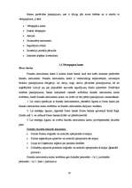 Diplomdarbs 'Vērtspapīru tirgus analīze privātbankās', 29.