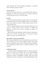 Referāts 'Reklāmas izveidošana', 7.