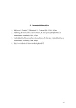 Referāts 'Reklāmas izveidošana', 12.