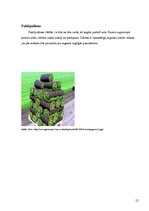 Prezentācija 'Nogāžu noturības nodrošināšanas konstruktīvie risinājumi', 12.