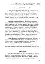 Prakses atskaite 'Atskaite par agrīnu bernības', 13.