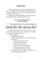 Referāts 'Bezpajumtnieki', 1.