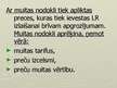 Prezentācija 'Muitas nodoklis', 7.