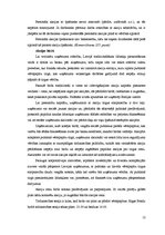 Referāts 'Akciju sabiedrība kā viena no komercdarbības formām Latvijā', 12.