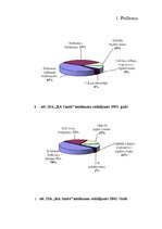 Referāts 'SIA "Reklāmas aģentūras Santa" konkurētspējas paaugstināšanas projekts', 39.