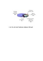 Referāts 'SIA "Reklāmas aģentūras Santa" konkurētspējas paaugstināšanas projekts', 40.