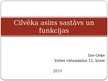 Prezentācija 'Cilvēka asins satāvs un funkcijas', 1.