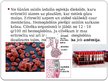 Prezentācija 'Cilvēka asins satāvs un funkcijas', 5.