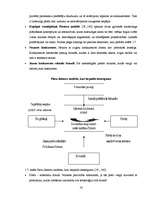 Diplomdarbs 'Kompānijas "Henkel" darbības un konkurētspējas analīze', 16.
