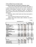 Diplomdarbs 'Kompānijas "Henkel" darbības un konkurētspējas analīze', 36.