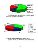 Diplomdarbs 'Kompānijas "Henkel" darbības un konkurētspējas analīze', 84.