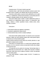 Biznesa plāns 'SIA "Rostas" attīstības biznesa plāns', 4.