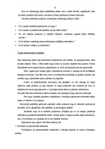 Biznesa plāns 'SIA "Rostas" attīstības biznesa plāns', 20.