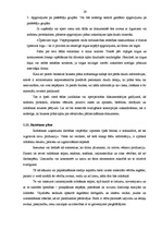 Biznesa plāns 'SIA "Rostas" attīstības biznesa plāns', 29.