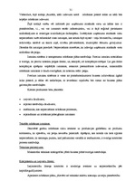 Biznesa plāns 'SIA "Rostas" attīstības biznesa plāns', 31.