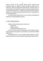 Biznesa plāns 'SIA "Rostas" attīstības biznesa plāns', 38.