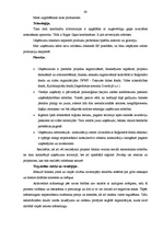 Biznesa plāns 'SIA "Rostas" attīstības biznesa plāns', 68.