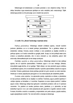 Biznesa plāns 'SIA "Rostas" attīstības biznesa plāns', 69.