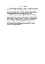 Referāts 'Mēdeja', 2.