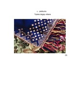 Referāts 'Latgaļu raksturojums līdz 13.gadsimtam', 20.