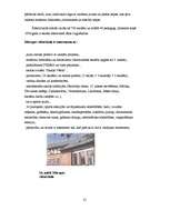 Referāts 'Mārupes pagasta komplekss raksturojums', 25.