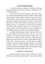 Referāts 'Korporācijas AMD procesori', 7.